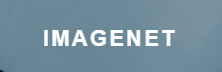 Imagenet